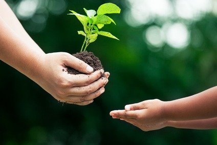  L'EDUCATION AU DÉVELOPPEMENT DURABLE